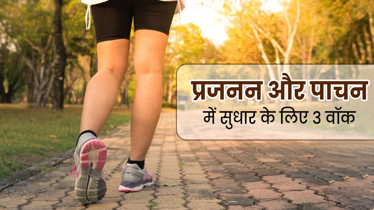 फर्टिलिटी और पाचन बढ़ाने के लिए रोजाना करें ये तीन तरह के वॉक, एक्सपर्ट से जानें फायदे
