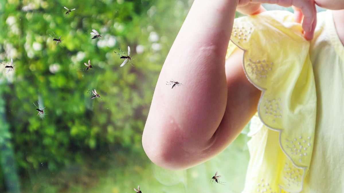 Early Warning Signs of Severe Dengue Fever