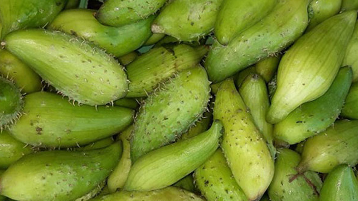 ram kerela benefits for health