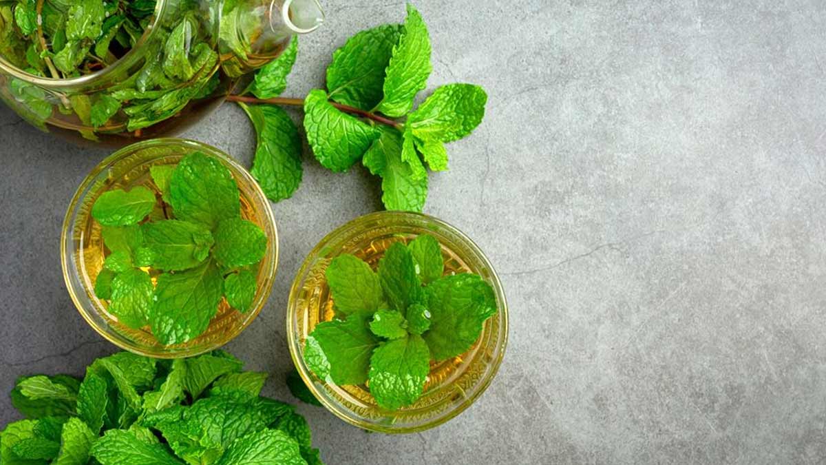 Mint Leaves For Cold And Asthma: Here Is How You Can Use It To Get