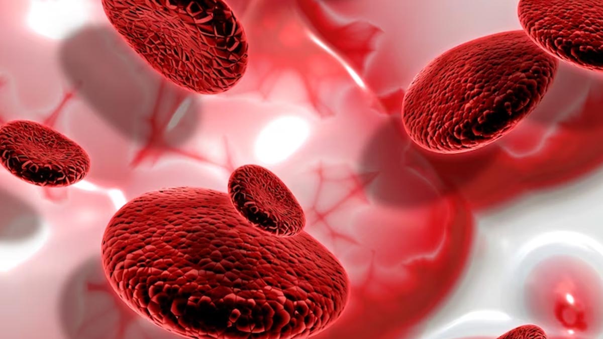 Platelet Count: What Is It, How Is It Produced, Its Role, And Causes Of Depletion