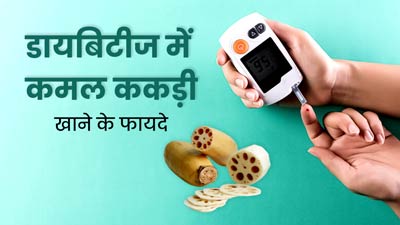 डायबिटीज में मरीज ऐसे करें कमल ककड़ी का सेवन, तेजी से घटेगा ब्लड शुगर