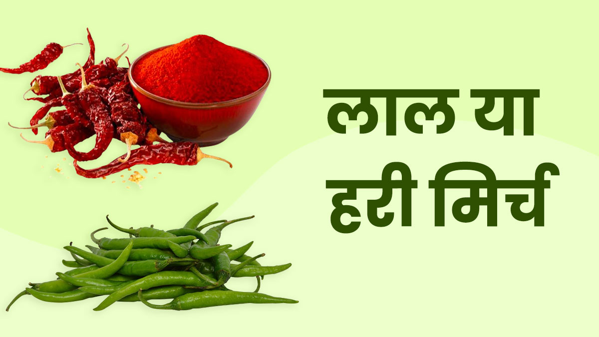 लाल या हरी मिर्च: खाने में कौन-सी मिर्च का इस्तेमाल करना होता है ज्यादा फायदेमंद? एक्सपर्ट से जानें 