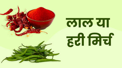 लाल या हरी मिर्च: खाने में कौन-सी मिर्च का इस्तेमाल करना होता है ज्यादा फायदेमंद? एक्सपर्ट से जानें 