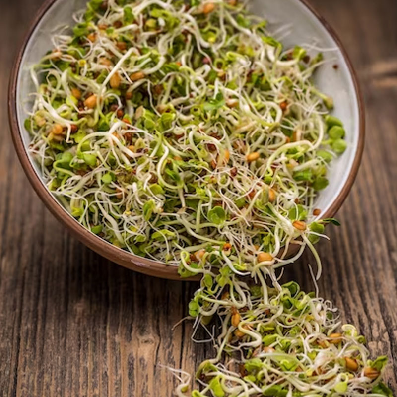 Ayurvedic Rules To Have Sprouts in hindi