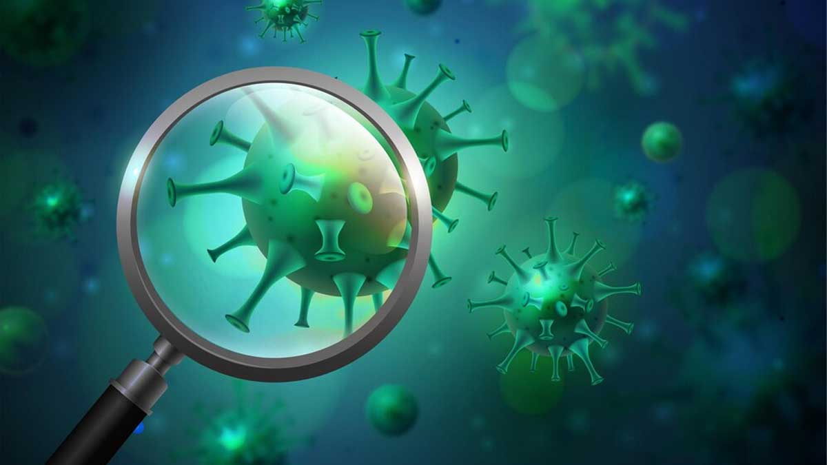 Next Pandemic On The Way? Scientists Believe Virus Group That Includes ...