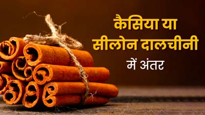 कैसिया या सीलोन: सेहत के लिए कौन-सी दालचीनी है ज्यादा फायदेमंद? जानें दोनों में अंतर