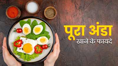पीला भाग निकाल देने से कम हो जाता है अंडे का पोषण, जानें पूरा अंडा खाने के 5 जबरदस्त फायदे