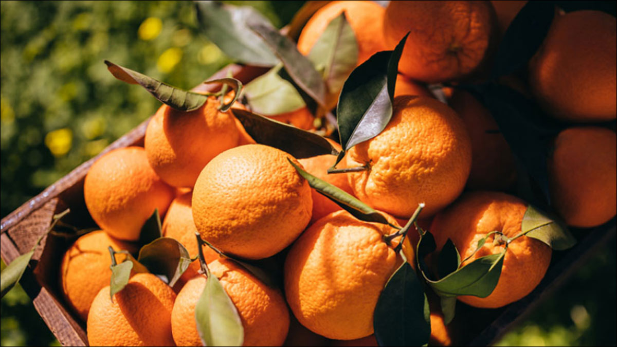 Adderall and Vitamin C