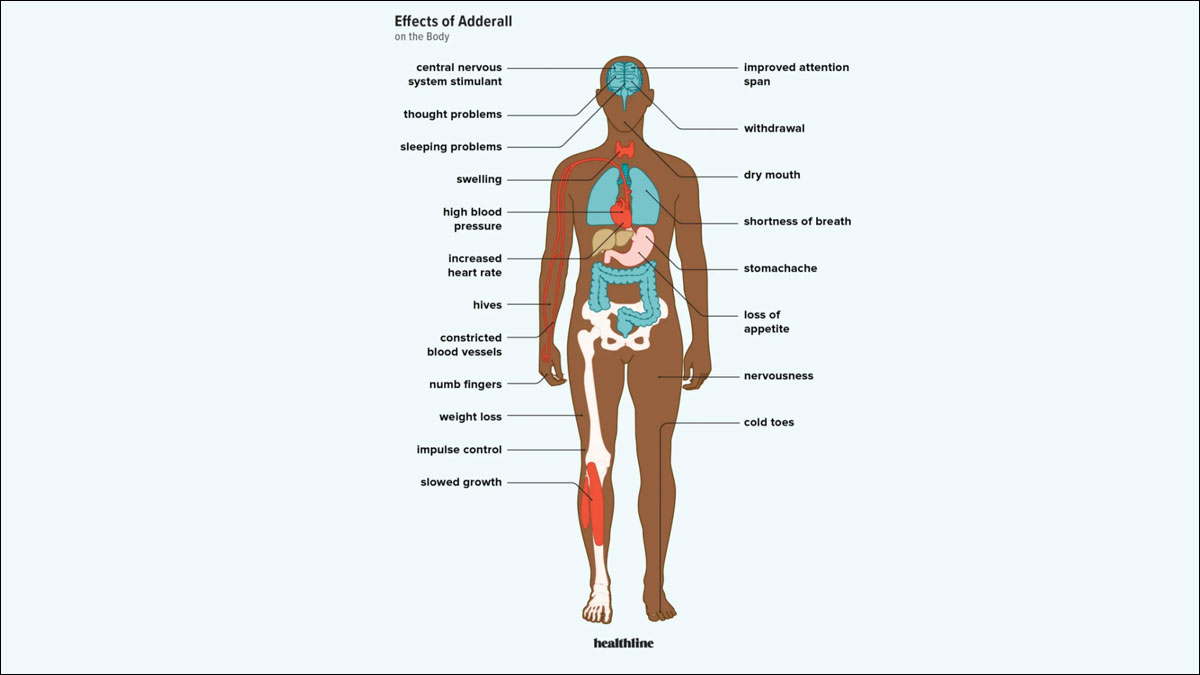 Adderall Digestive System