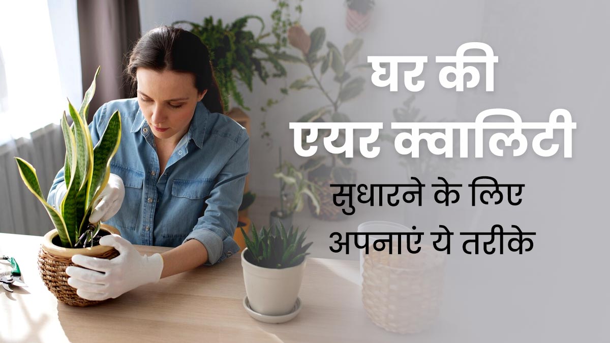 घर की एयर क्वालिटी सुधारने के लिए अपनाएं ये तरीके, मिलेगी साफ हवा