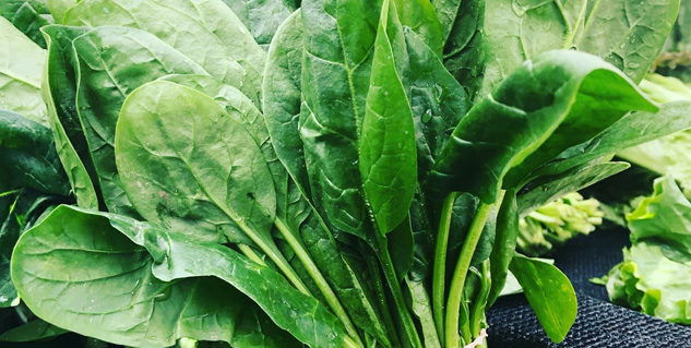 Easy and Nutritious Ways to Incorporate Spinach in Your Winter Diet