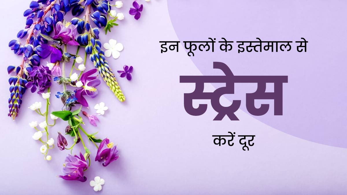 स्ट्रेस में रहते हैं, तो इन 5 फूलों का करें इस्तेमाल, चिंता और तनाव होगा कम