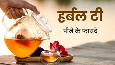 Herbal Tea Benefits: दूध से बनी चाय के बजाए पिएं हर्बल टी, मिलेंगे ये 5 जबरदस्त फायदे 