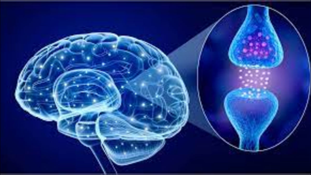 Understanding Anxiety