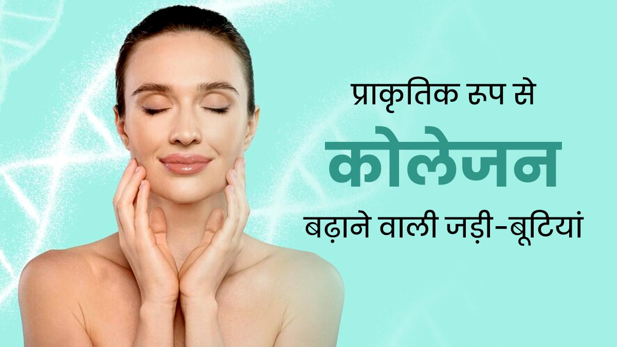 नेचुरल तरीके से कोलेजन बढ़ाने में मदद करती हैं ये 6 जड़ी-बूटियां, इस तरह से करें इस्तेमाल
