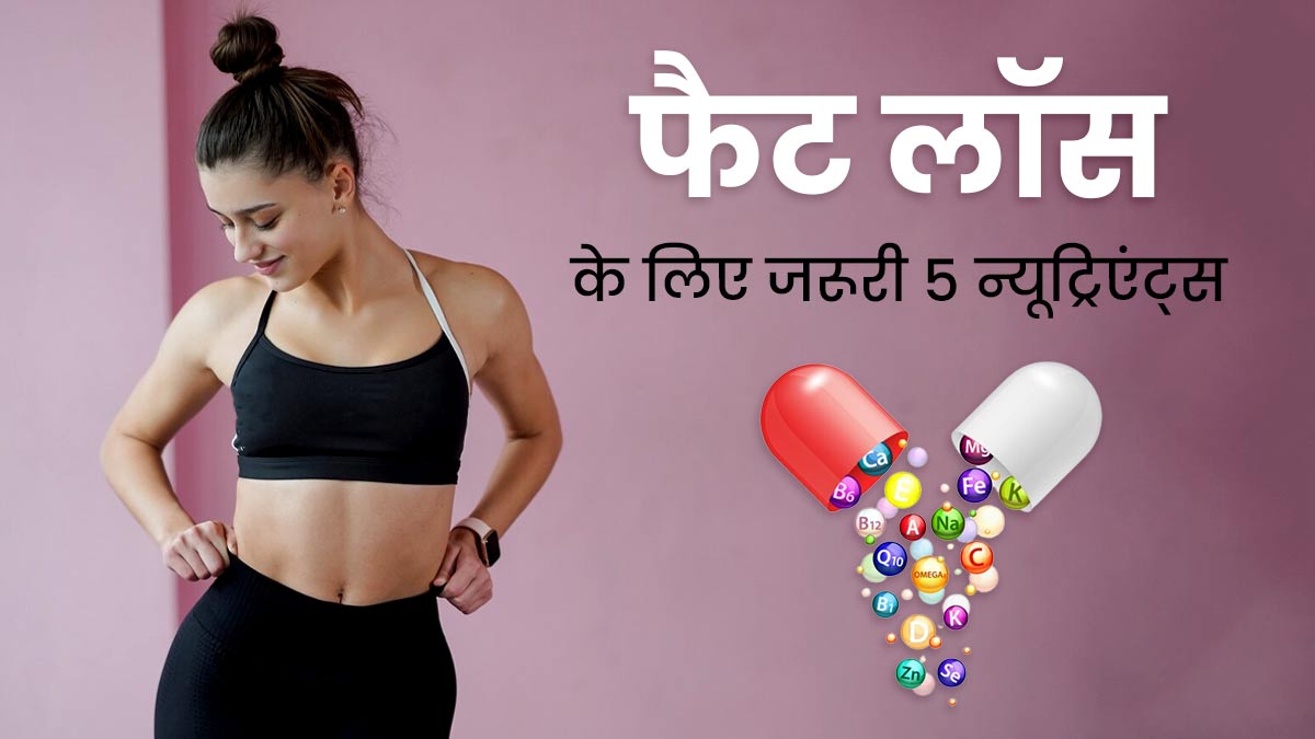 फैट लॉस के लिए जरूरी हैं ये 5 न्यूट्रिएंट्स, इंसुलिन सेंसिटिविटी और एस्ट्रोजन डिटॉक्सिफिकेशन बनाते हैं बेहतर