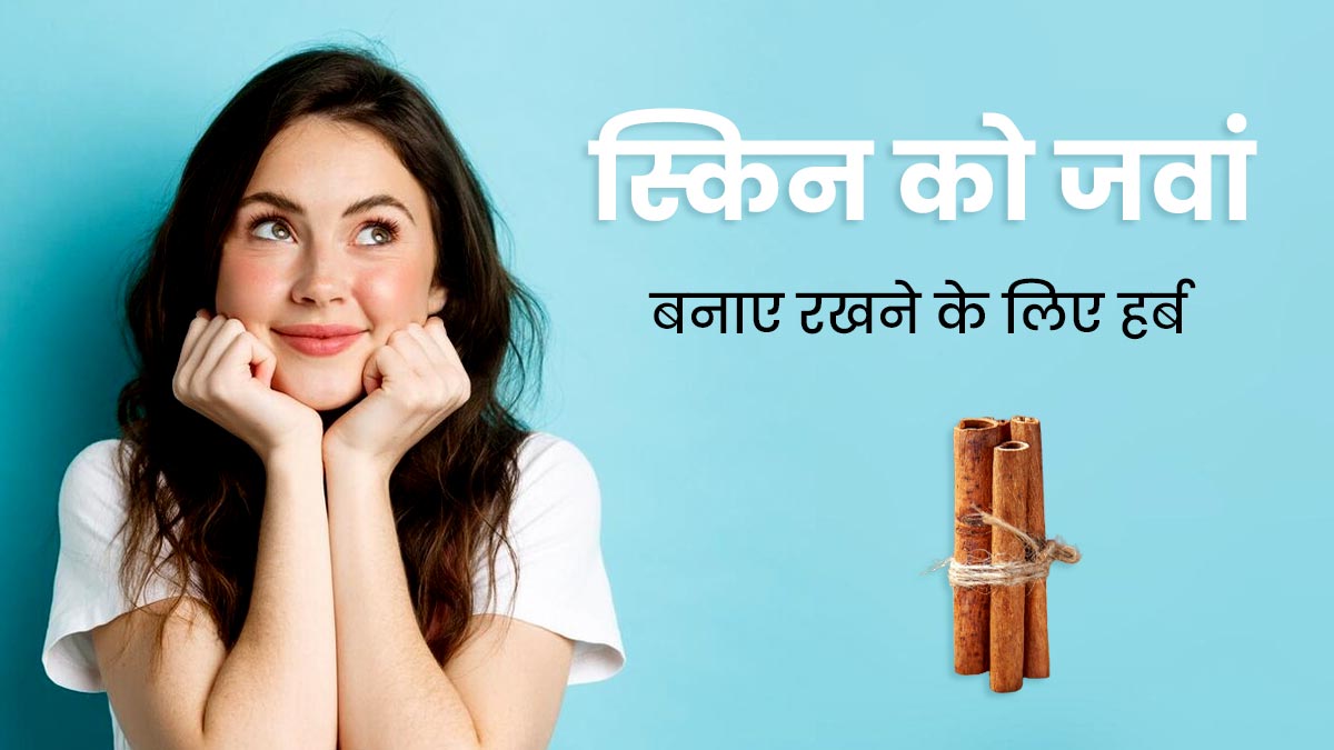 सर्दी में त्वचा को जवां बनाए रखने के लिए इस्तेमाल करें ये 5 तरह के हर्ब्स, बेजान त्वचा से मिलेगा छुटकारा