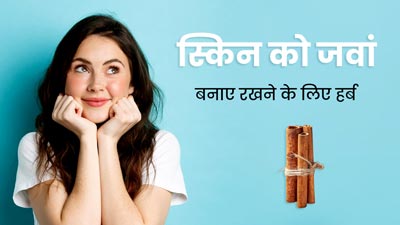सर्दी में त्वचा को जवां बनाए रखने के लिए इस्तेमाल करें ये 5 तरह के हर्ब्स, बेजान त्वचा से मिलेगा छुटकारा