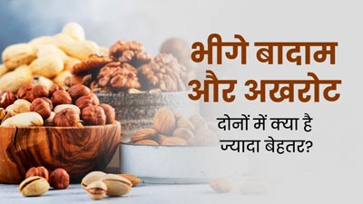भीगे बादाम या अखरोट: सेहत के लिए क्या है ज्यादा फायदेमंद? एक्सपर्ट से जानें पोषक तत्व