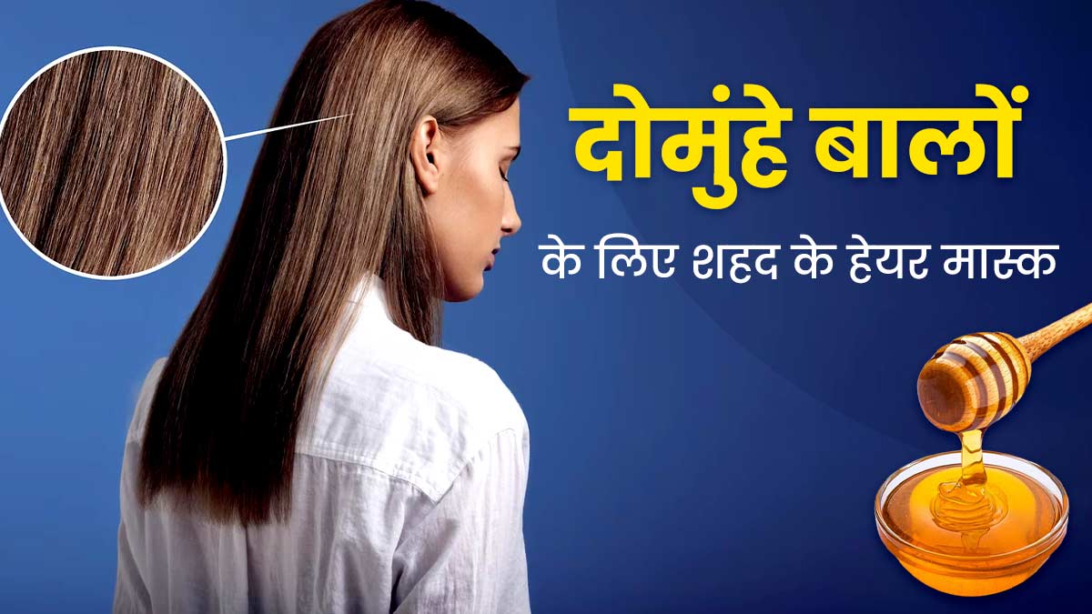 Hair Mask For Split Ends: दोमुंहे बालों से छुटकारा पाने के लिए लगाएं शहद से बने ये 3 हेयर मास्क