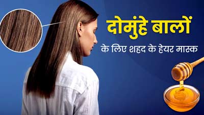 Hair Mask For Split Ends: दोमुंहे बालों से छुटकारा पाने के लिए लगाएं शहद से बने ये 3 हेयर मास्क