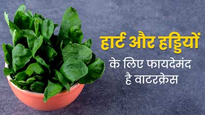 Watercress Benefits: औषधीय गुणों से भरपूर होती है 'वाटरक्रेस' जड़ी-बूटी, दूर करती है कई बीमारियां 