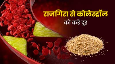 राजगिरा के सेवन से कोलेस्ट्रॉल को कैसे करें कम करें, एक्सपर्ट से जानें इसके फायदे