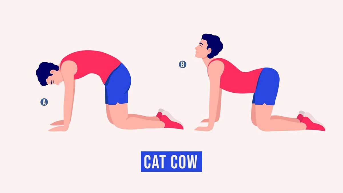 How to do Cat cow pose