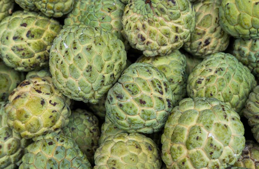 custard apple