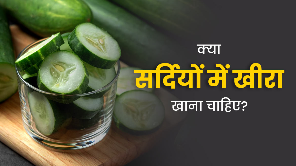 क्या सर्दियों में खीरा खाना चाहिए? एक्सपर्ट से जानें इसके बारे में 