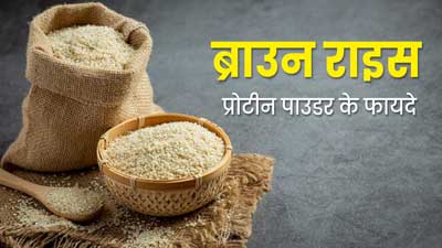 ब्राउन राइस प्रोटीन पाउडर क्या है? जानें इसका सेवन करने के फायदे और तरीका
