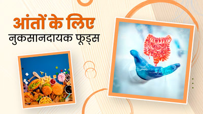 आंतों को नुकसान पहुंचाते हैं ये 4 फूड्स, डाइट से करें बाहर