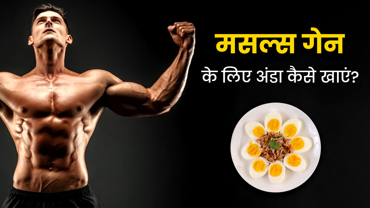 मसल्स गेन के लिए रोजाना इस तरह से करें अंडे का सेवन, जल्दी बनेगी बॉडी