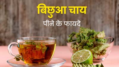 Nettle Tea Benefits: बिछुआ चाय पीने से शरीर को मिलते हैं जबरदस्त फायदे, डाइट में करें शामिल