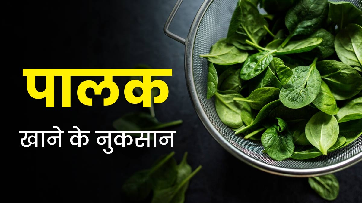 पालक खाने के नुकसान | Spinach Side Effects in Hindi | spinach side