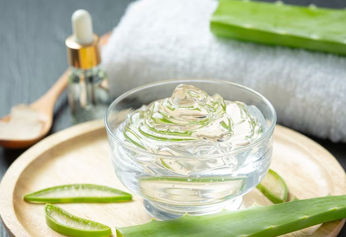 aloe vera