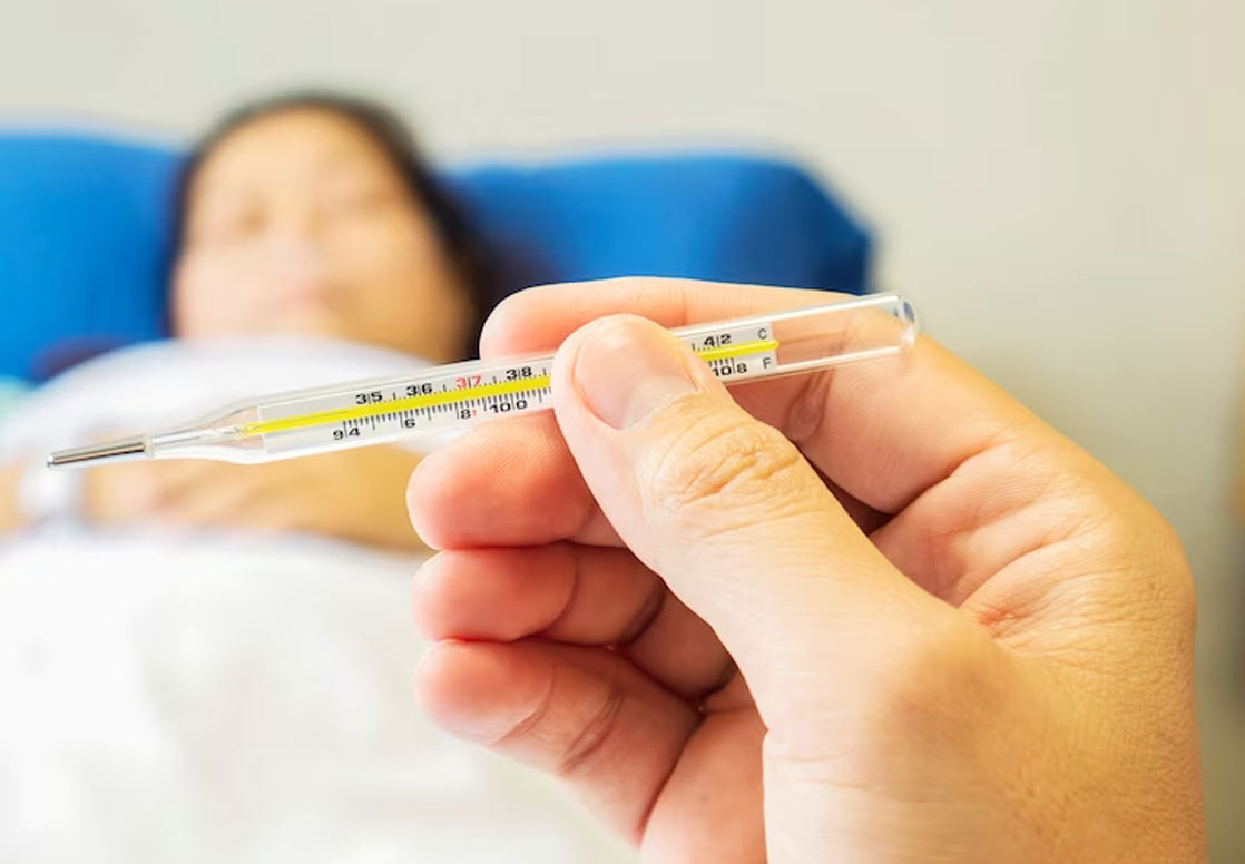 Transmission Of The Dengue Virus From Mother To Baby