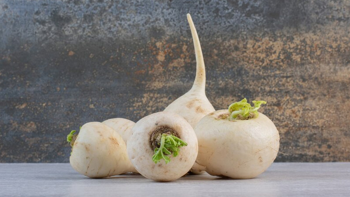 Best Root Vegetables to Consume In Winters