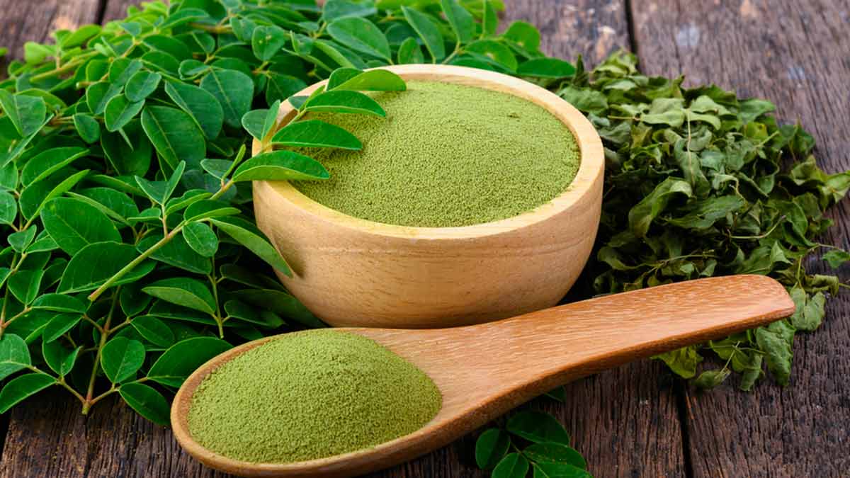 Moringa Powder: 5 Ways It Can Benefit Your Health | OnlyMyHealth
