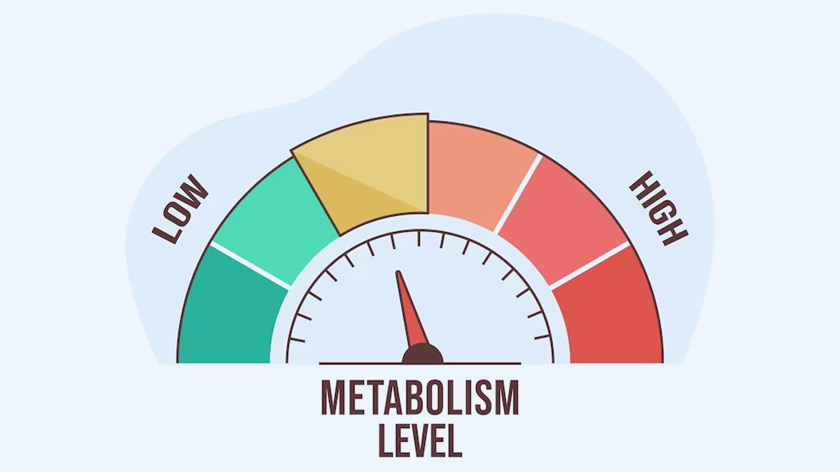 metabolism
