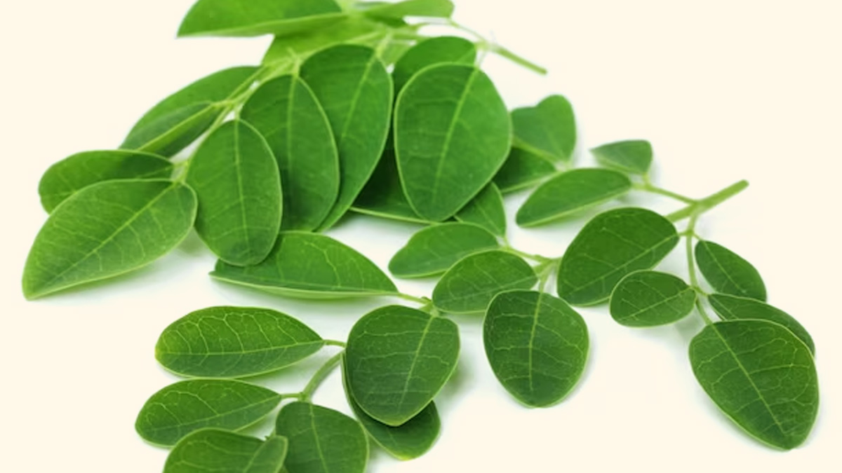moringa benefits for heart health