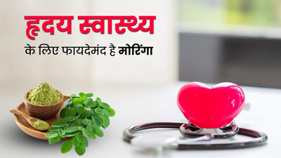 हृदय स्वास्थ्य के लिए फायदेमंद है मोरिंगा, जानें डाइट में शामिल करने का तरीका 