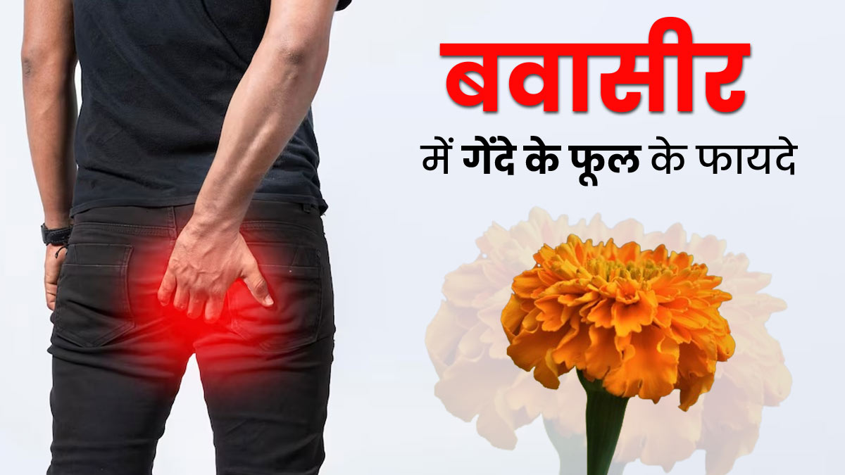 बवासीर को जड़ से खत्म करने के लिए ऐसे करें गेंदे के फूल का इस्तेमाल, मिलेगा जल्दी फायदा