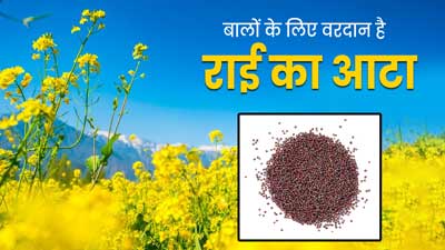 बालों के लिए वरदान है राई का आटा, जानें फायदे और लगाने का तरीका