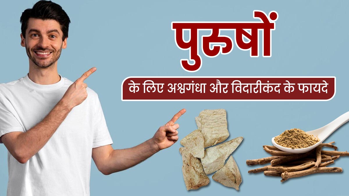 एक साथ खाएं अश्वगंधा और विदारीकंद, पुरुषों को मिलेंगे अनोखे फायदे