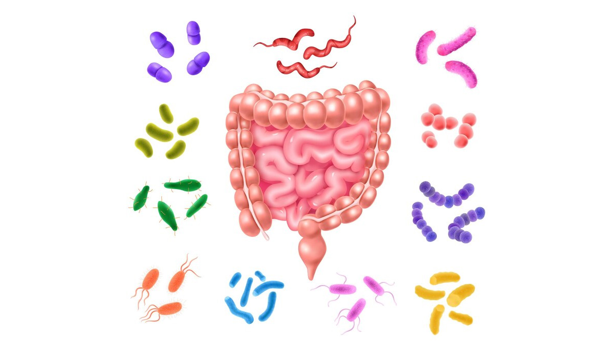 Helicobacter Pylori Infection: Symptoms, Diagnosis And Treatment ...