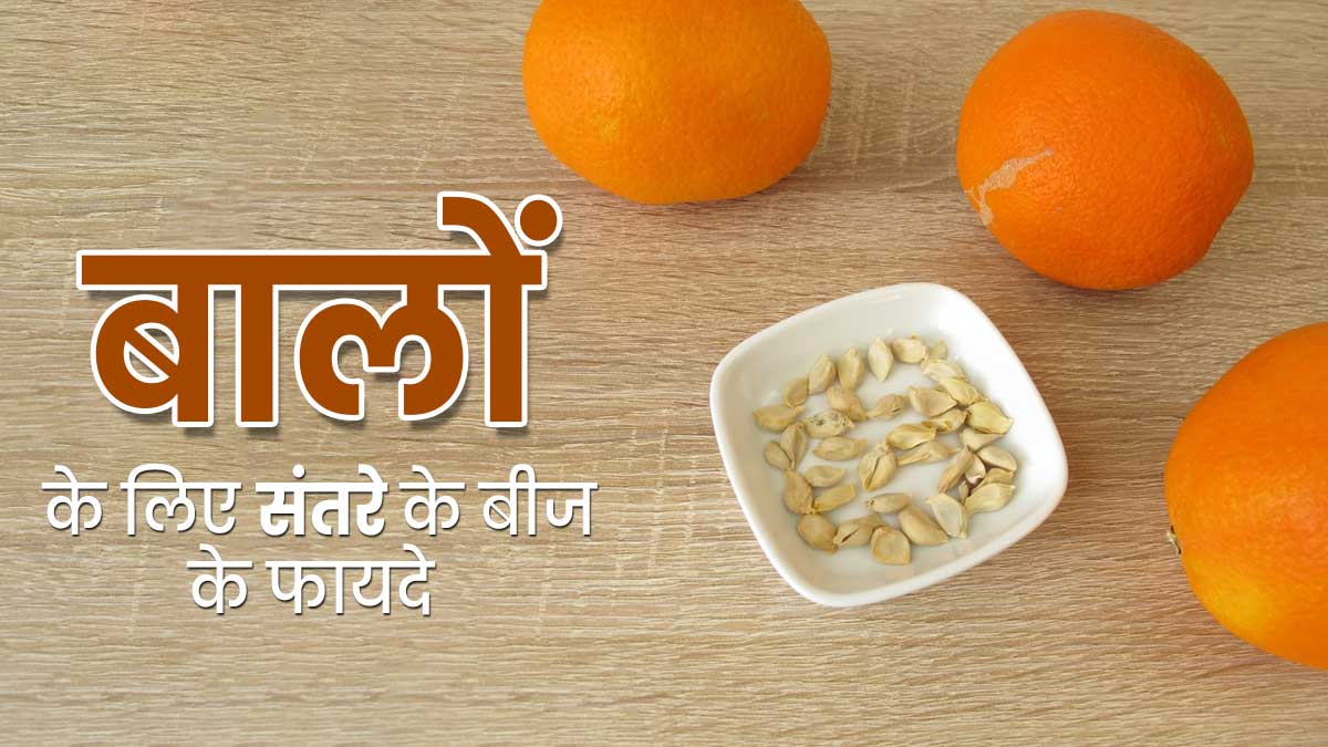 संतरे के बीज फेंकने के बजाय बालों के ल‍िए इस तरह करें इस्‍तेमाल, म‍िलेंगे कई फायदे 