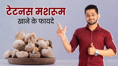पोषक तत्वों का भंडार है टेटनस मशरूम, जानें इसे खाने के फायदे