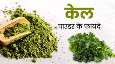 Kale Powder Benefits: केल पाउडर से शरीर को मिलेंगे ये 5 जबरदस्त फायदे, करें डाइट में शामिल 
